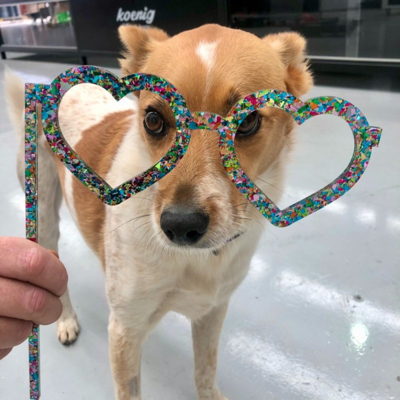 Fun Wooden Eyewear Props for Parties & Events - 07KS0013