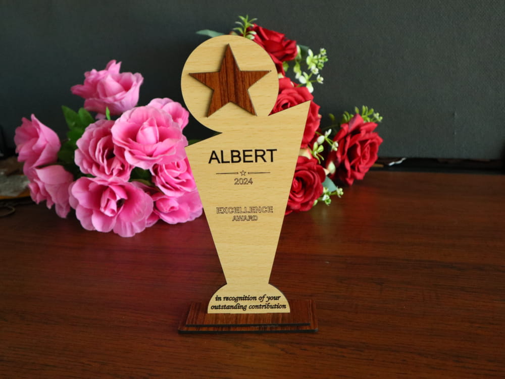 Elegant Wooden & Acrylic Trophy Collection – 11CT0008
