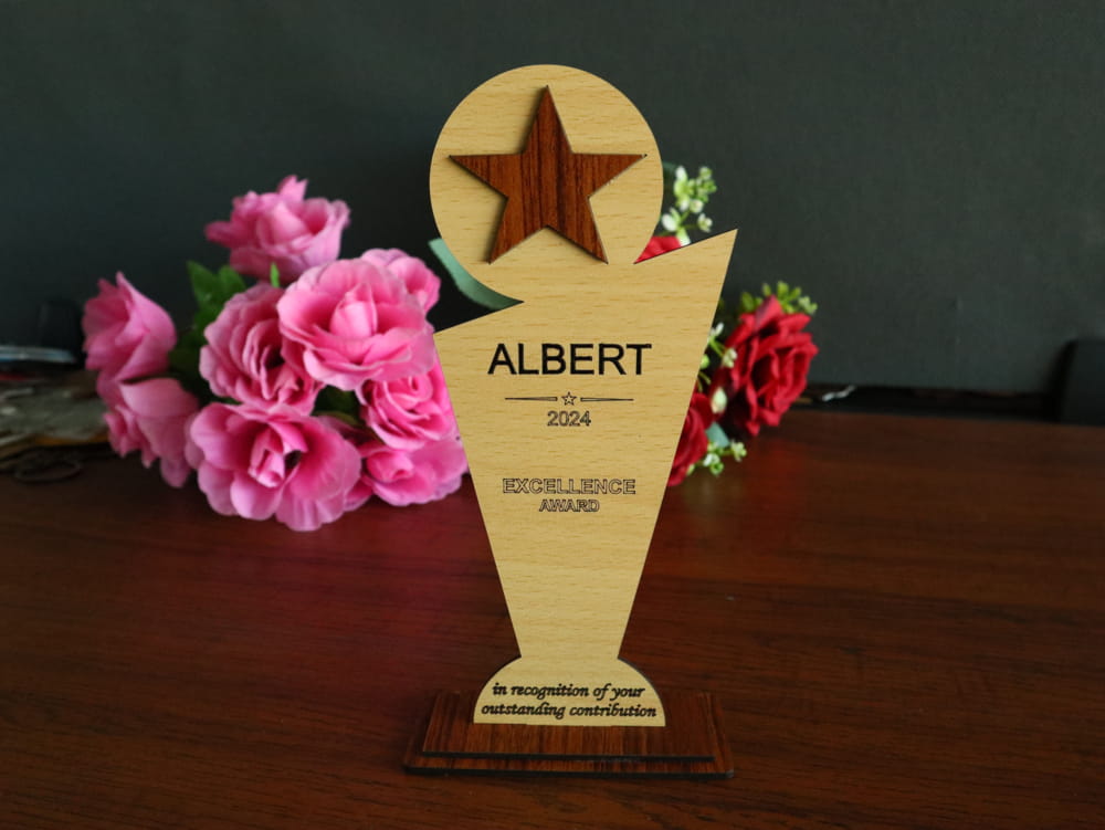 Elegant Wooden & Acrylic Trophy Collection – 11CT0008
