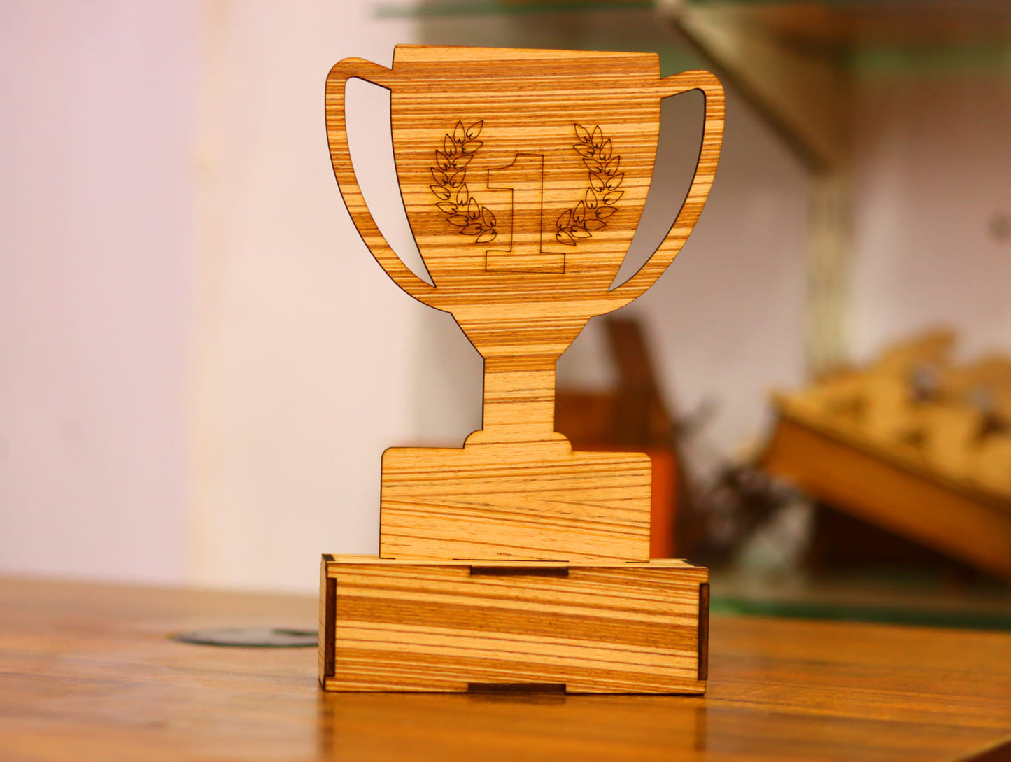 Elegant Wooden & Acrylic Trophy Collection – 11CT0008